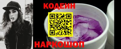 МДПВ Камень-на-Оби