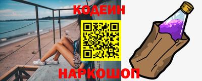 МДПВ Камень-на-Оби