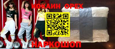 МДПВ Камень-на-Оби
