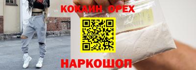 МДПВ Камень-на-Оби