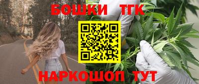 МДПВ Камень-на-Оби