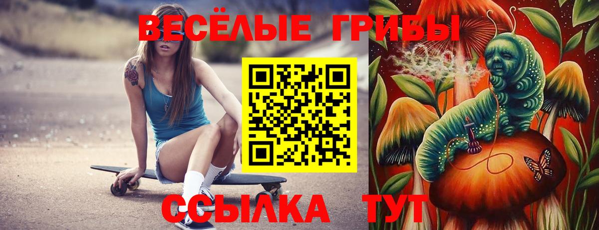 Псилоцибиновые грибы Cubensis Богданович