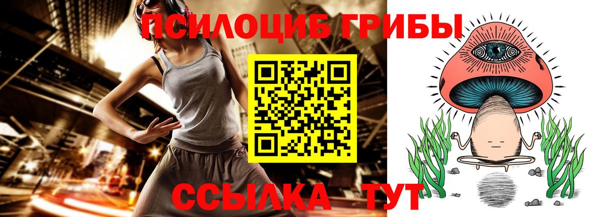 Псилоцибиновые грибы Magic Shrooms  Вход с VPN  Богданович 